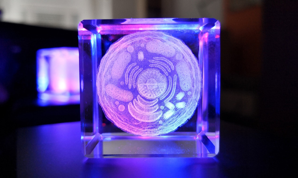 The Microcosm in Glass by Cinks Labs gallery image