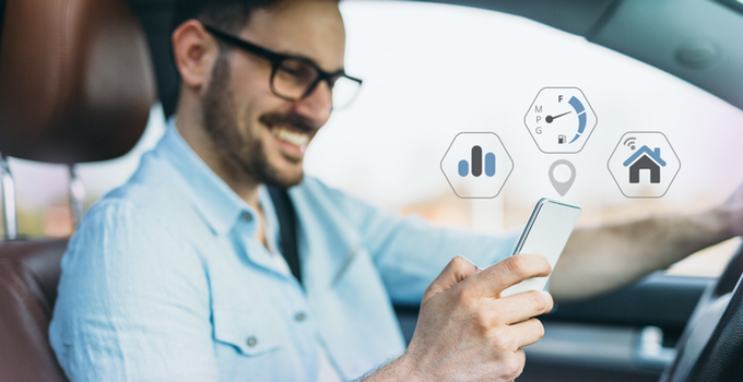 Kiwi 4 gallery image