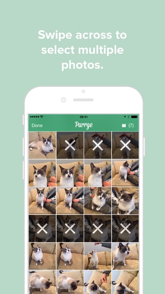 Purrge gallery image