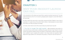 Product Launch Strategies media 1