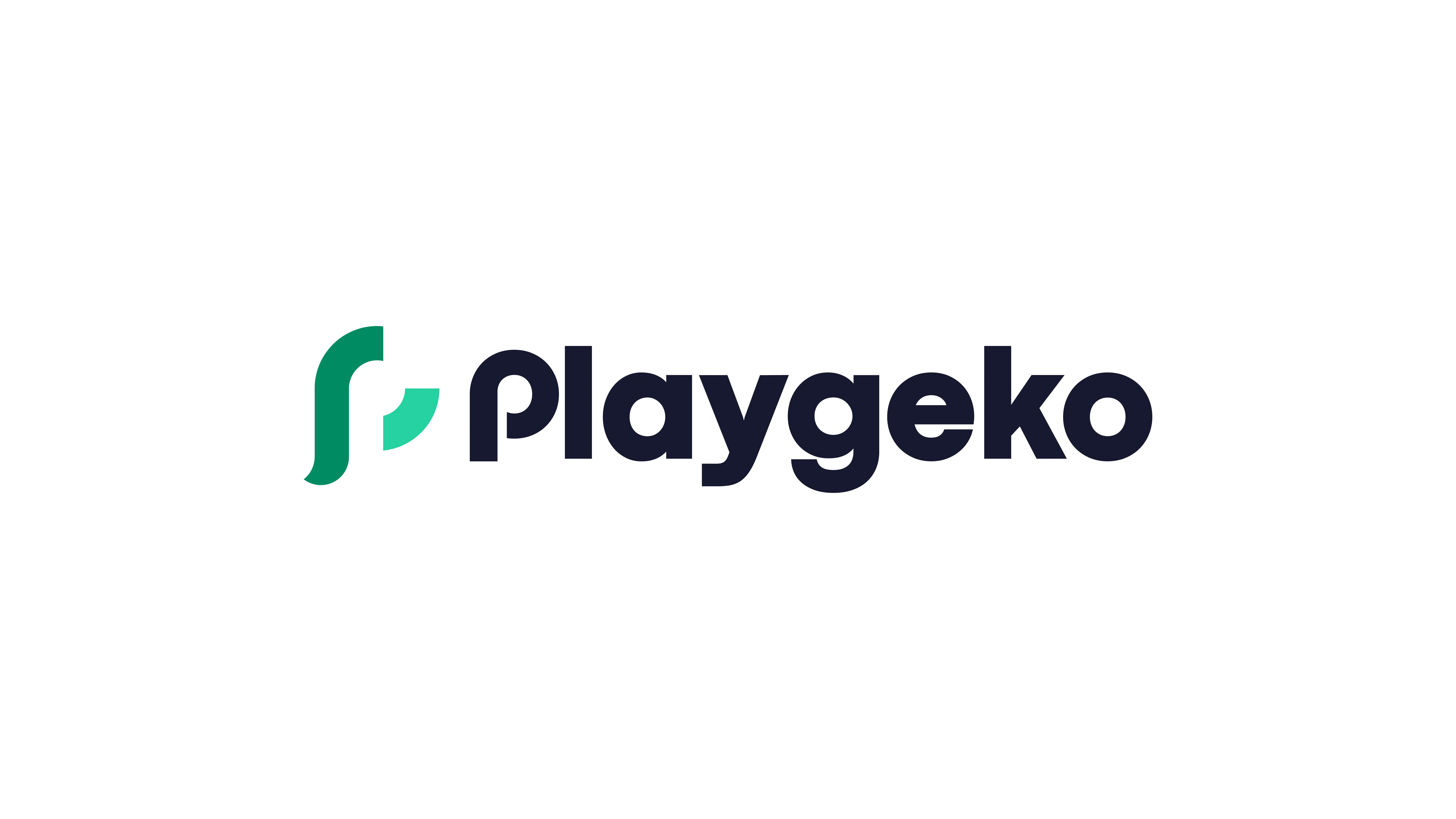 Playgeko gallery image
