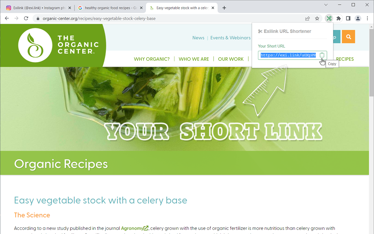 URL Shortener for Google Chrome gallery image