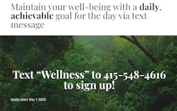 The Daily Wellness media 1