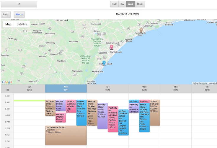 Pawfinity gallery image