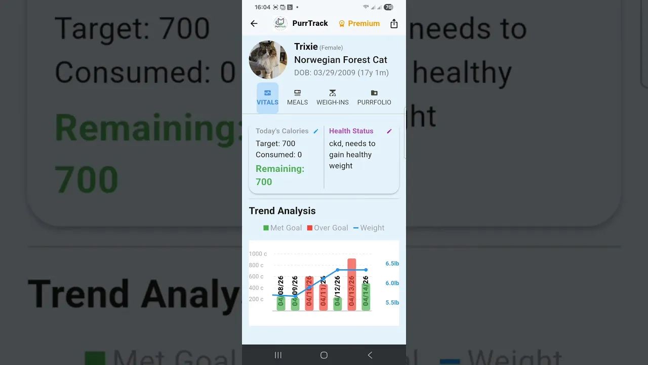 PurrTrack: Holistic Cat Care gallery image