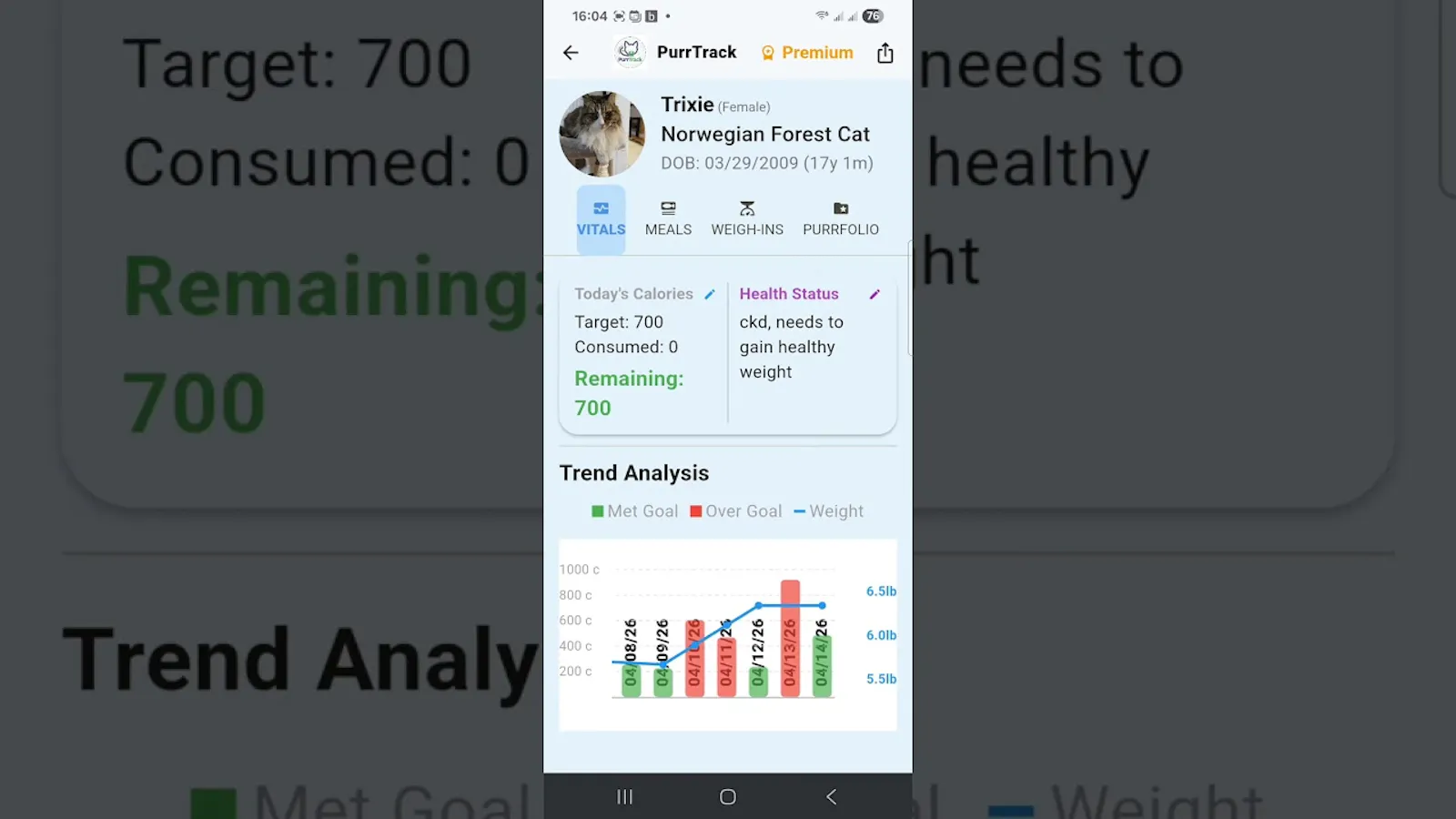 PurrTrack: Holistic Cat Care screenshot 1 (video preview)