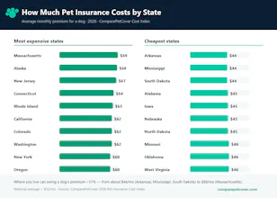 ComparePetCover Cost Calculator gallery image