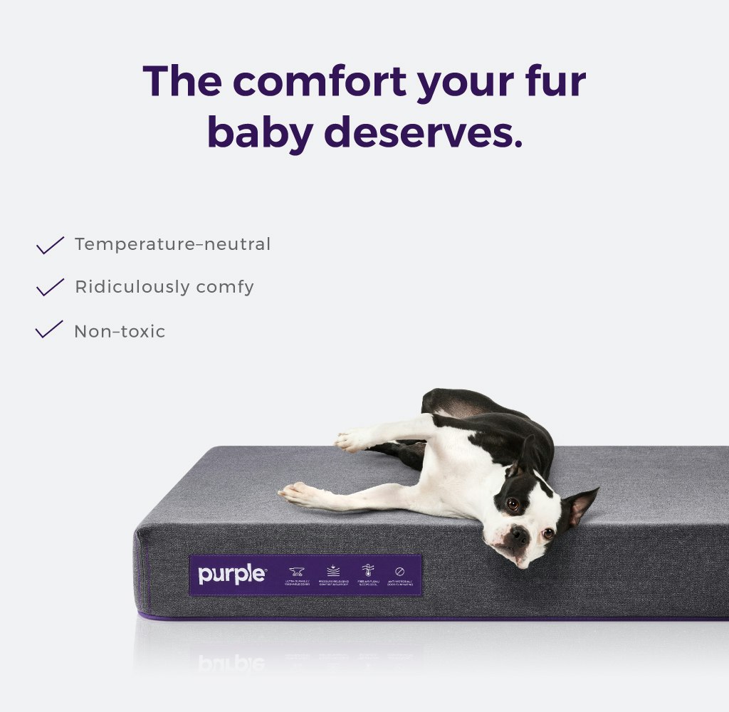 Purple Pet Bed gallery image