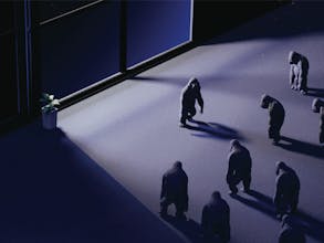 Graham gallery image