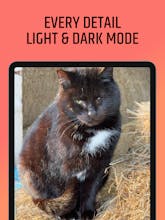 MapPic gallery image