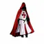 Knights Templar Cloak & Surcoat Tunic