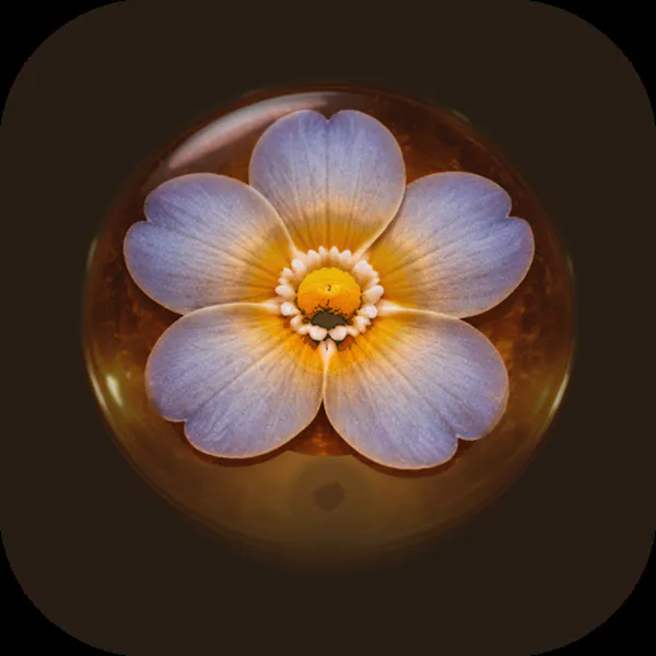 Beheld