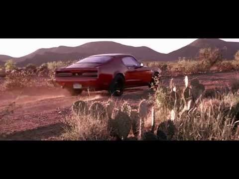 Equus Bass 770 gallery image