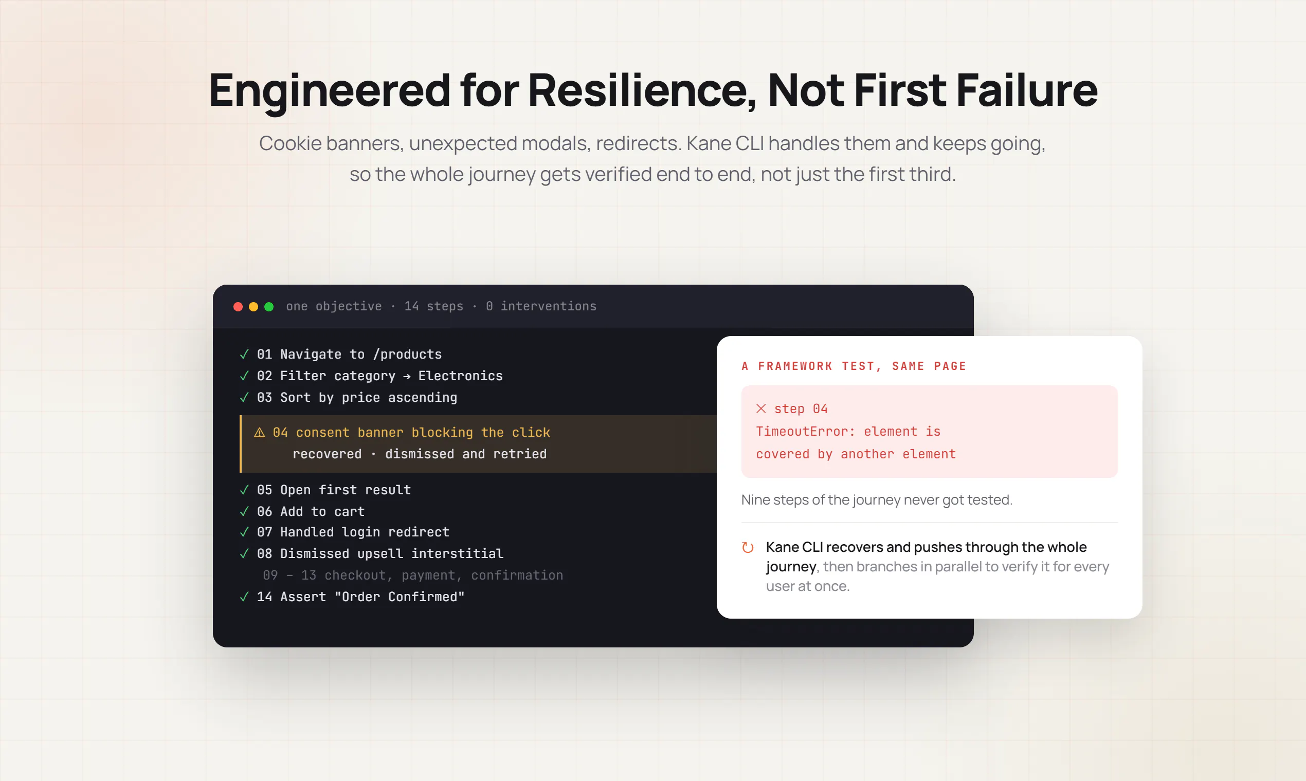 Kane CLI screenshot 3