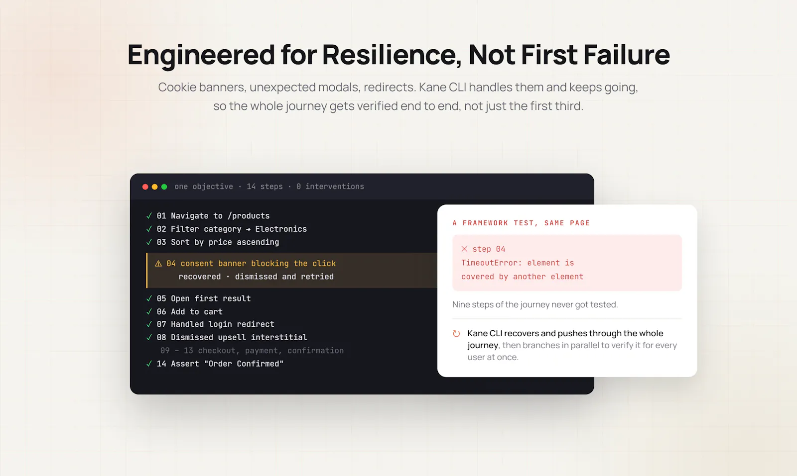 Kane CLI screenshot 4