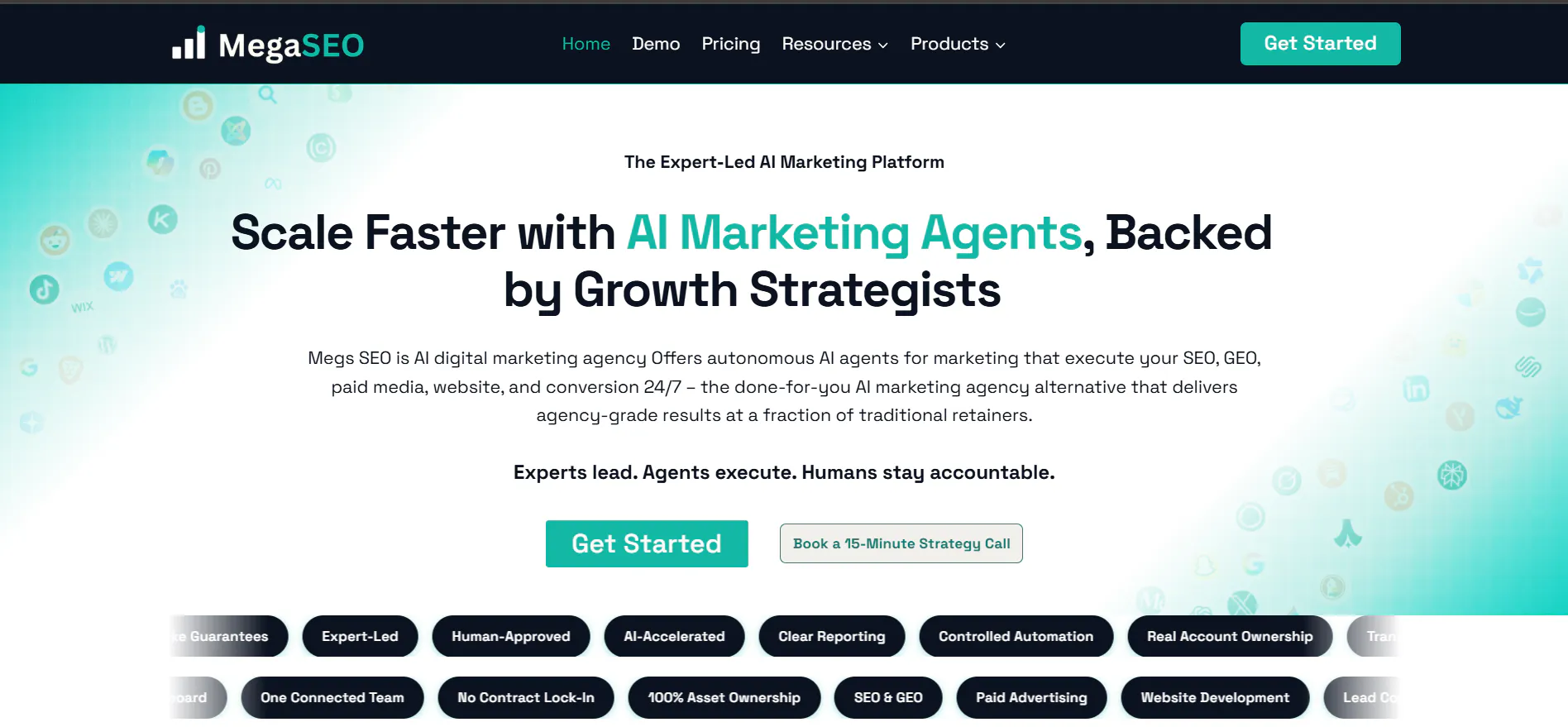 MEGA SEO gallery image