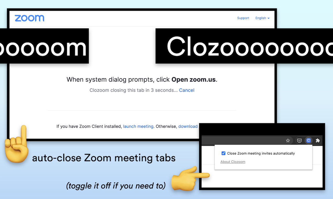 zoom chrome extension
