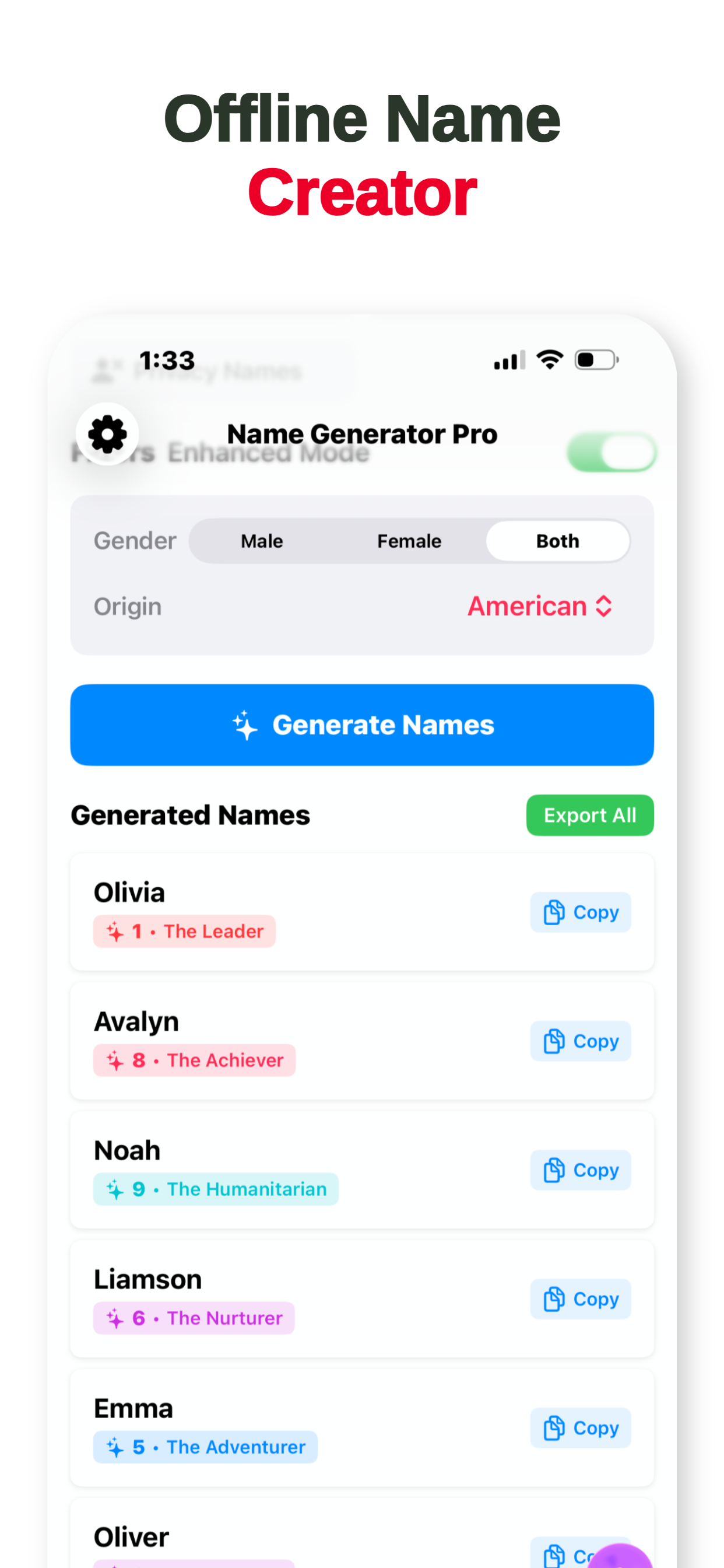 Name Generator Pro - Screenshot 4 showing product features and functionality