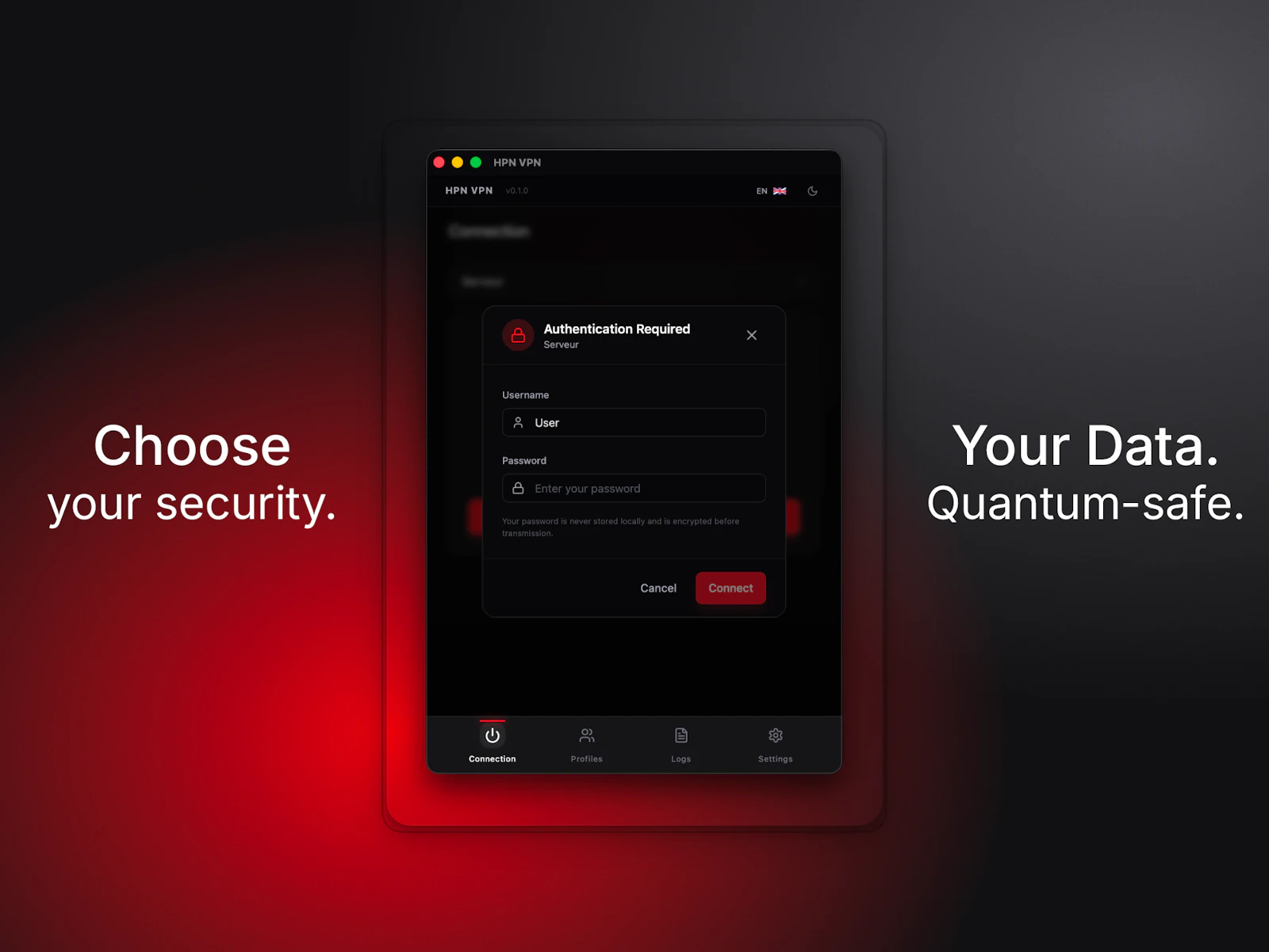 HPN - Post Quantum VPN screenshot 4