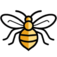 Spell Bee Game - Free & Online