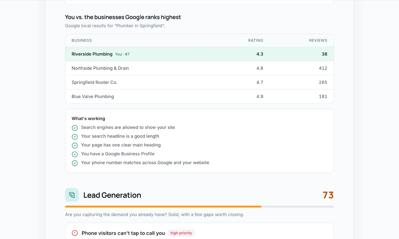 LocalBusinessAudit screenshot 5