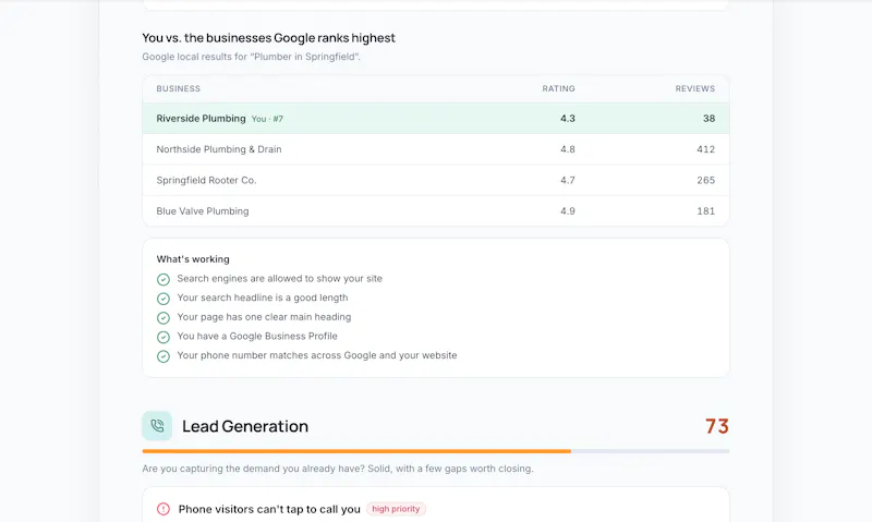 LocalBusinessAudit screenshot 5