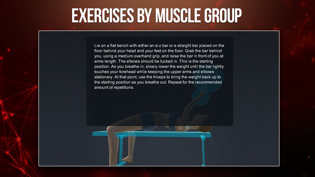 Sports Anatomy 3D gallery image