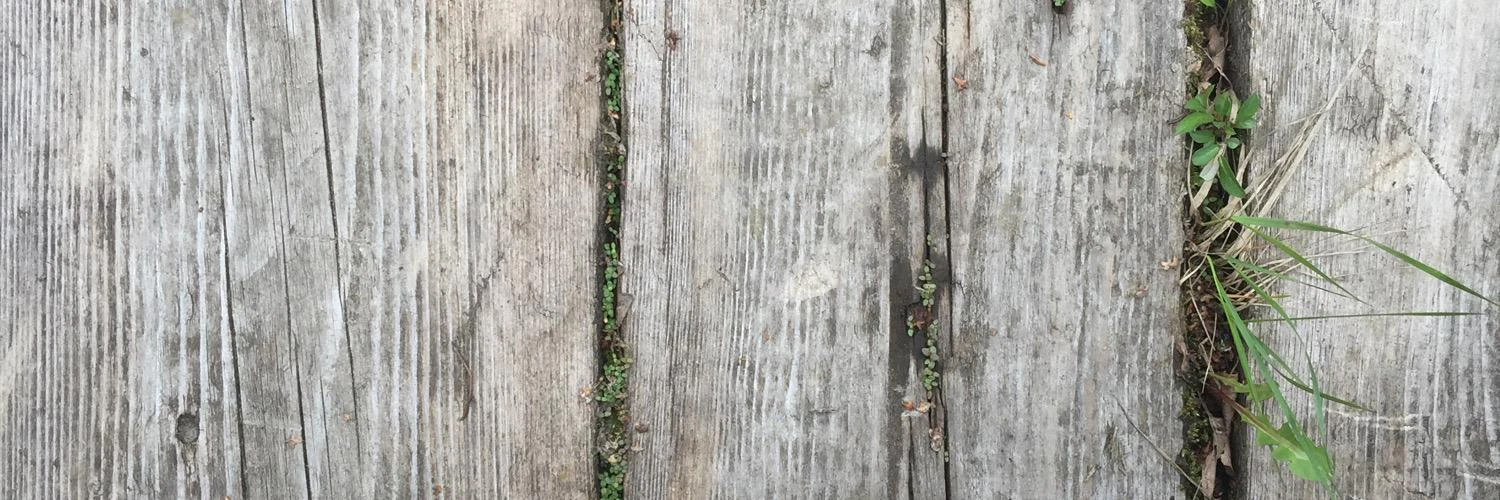 Ingvar Helgerson cover