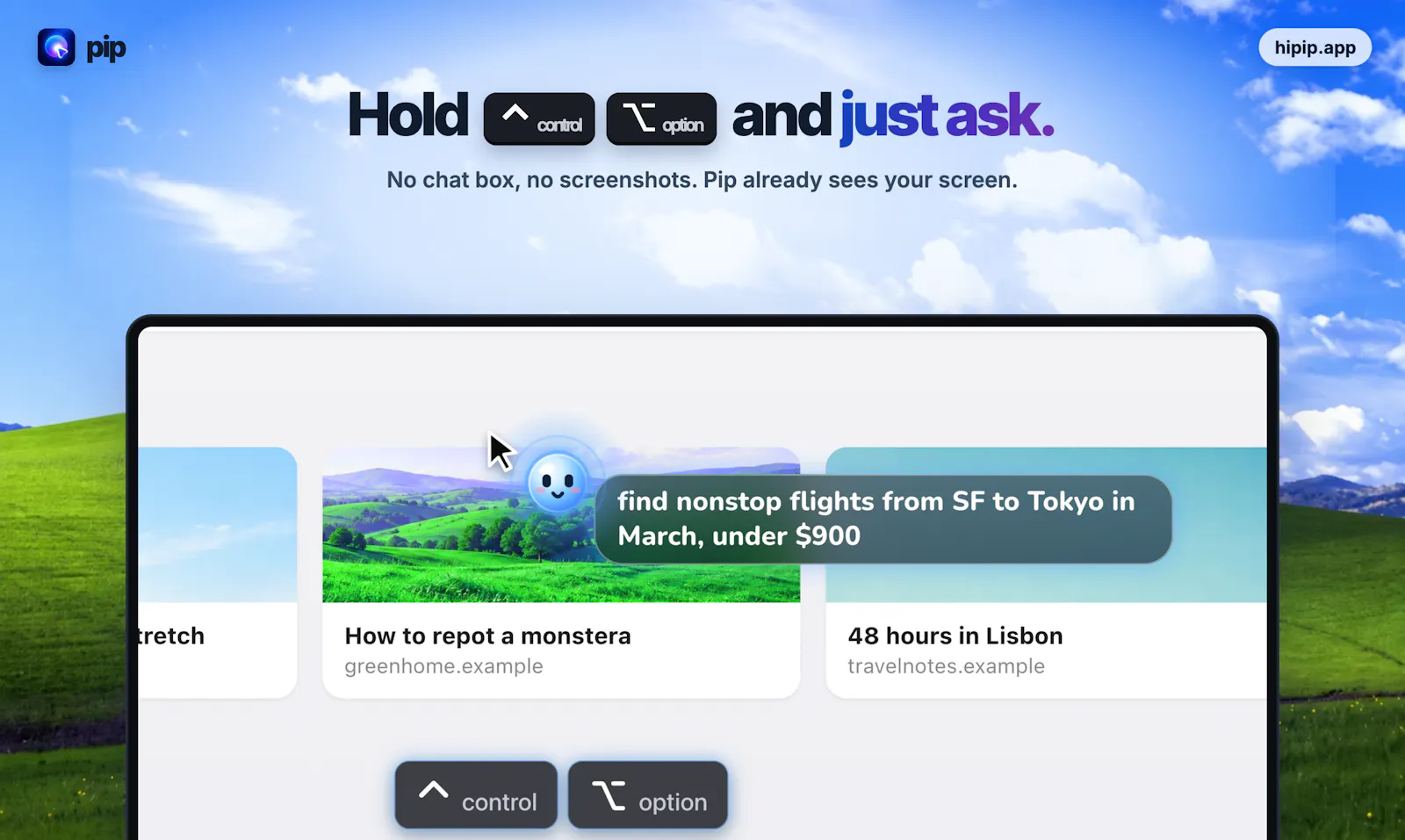 PIP screenshot 6