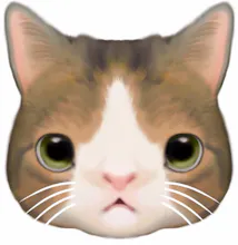 Kitty Snatch gallery image