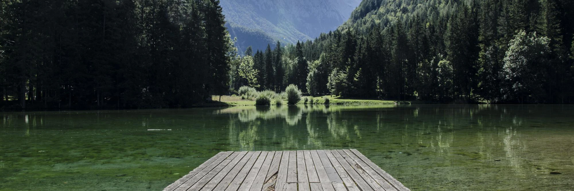 Randy Skopecek cover