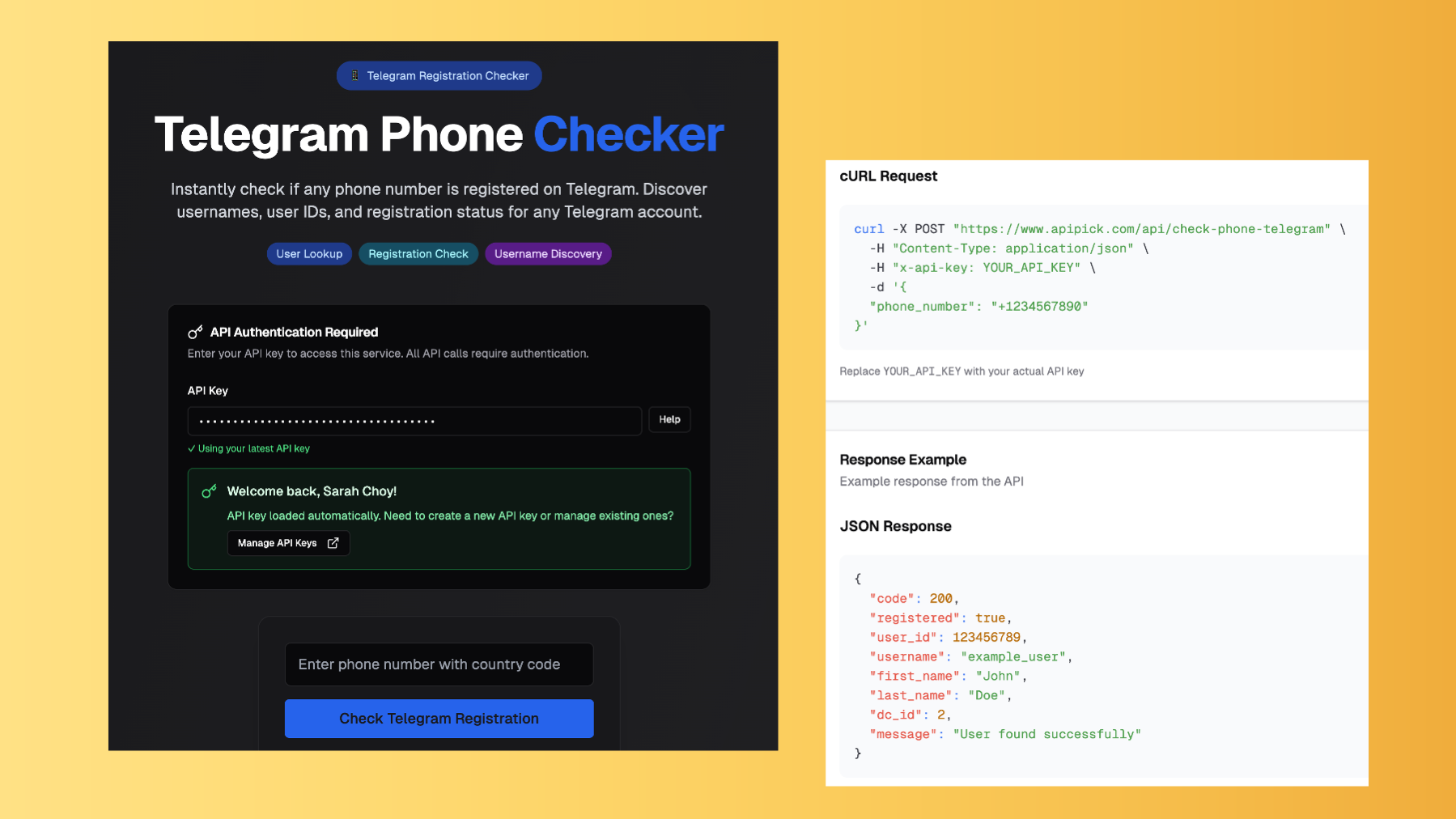 API Pick gallery image