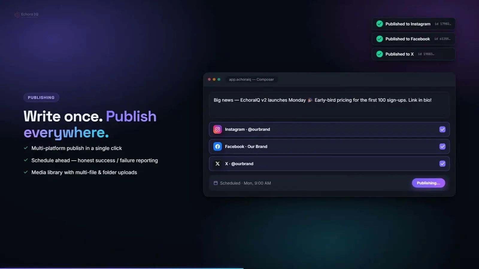 EchoraIQ screenshot 1 (video preview)
