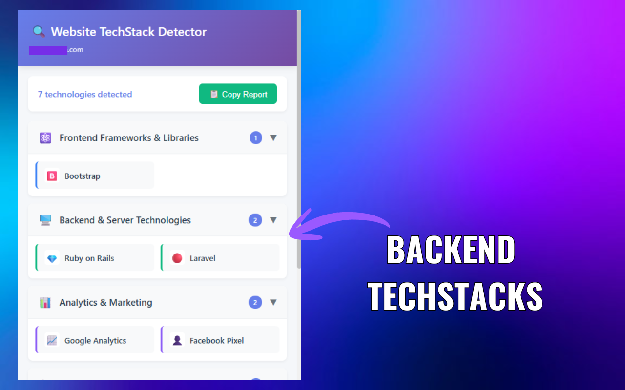 Chrome Extension: TechStack Finder gallery image