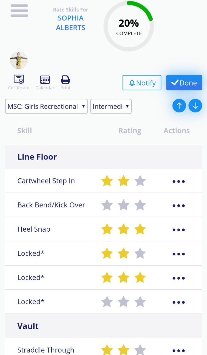 myskillchart gallery image