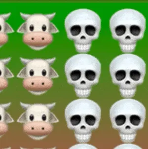 Killed for Food