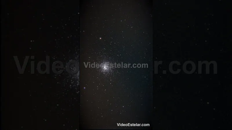 VideoEstelar screenshot 2 (video preview)
