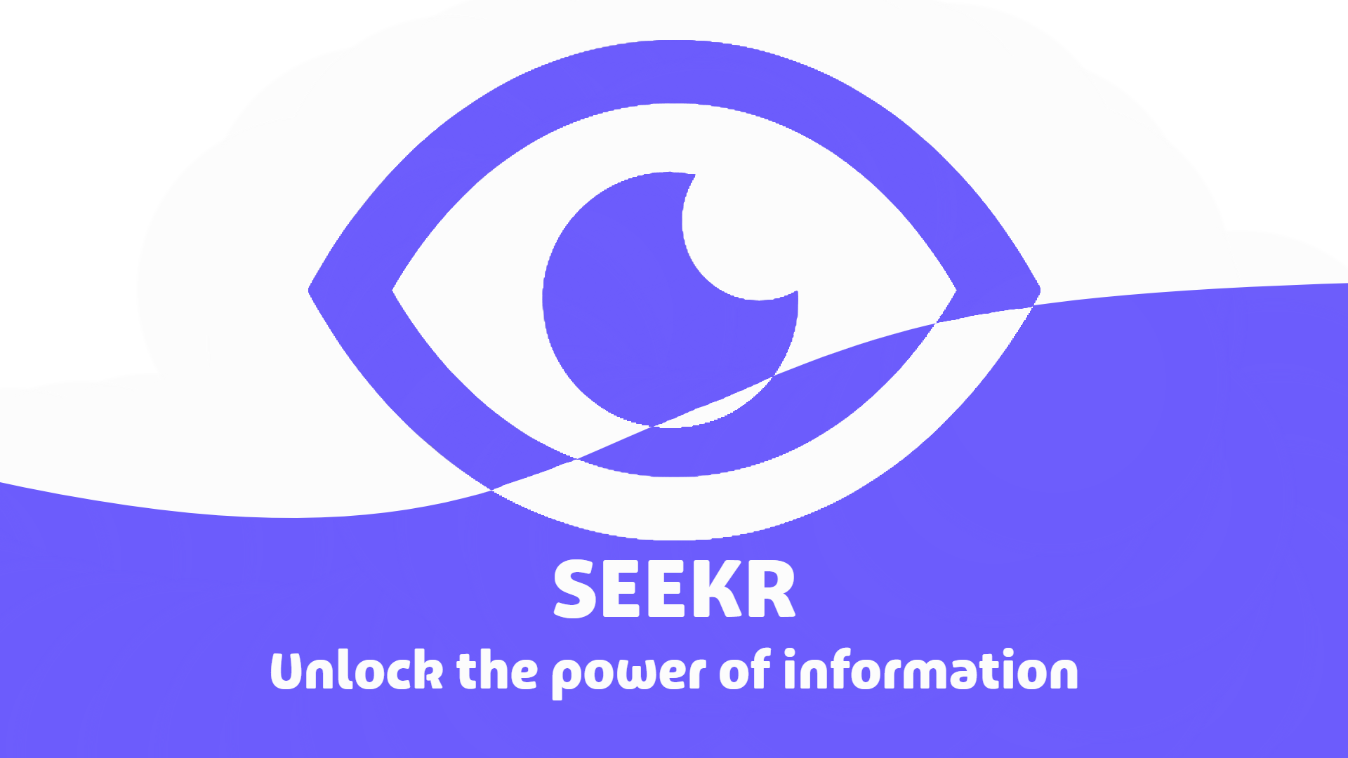 Seekr - Interface da Web da ferramenta Golang Osint