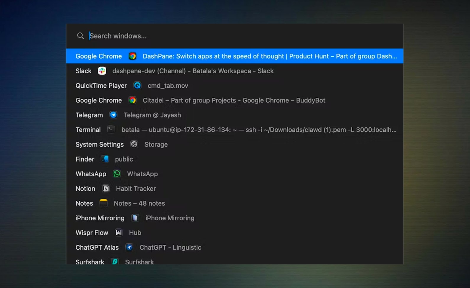DashPane gallery image