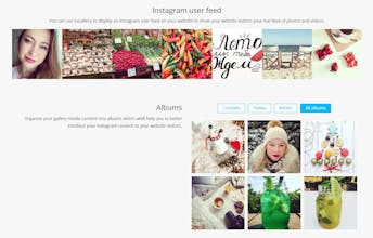 Instagram feed - photo & video gallery for WordPress gallery image