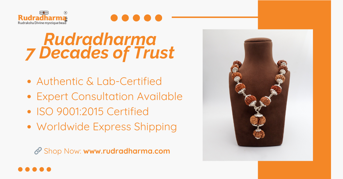 Rudradharma - Main product screenshot demonstrating key features and user interface