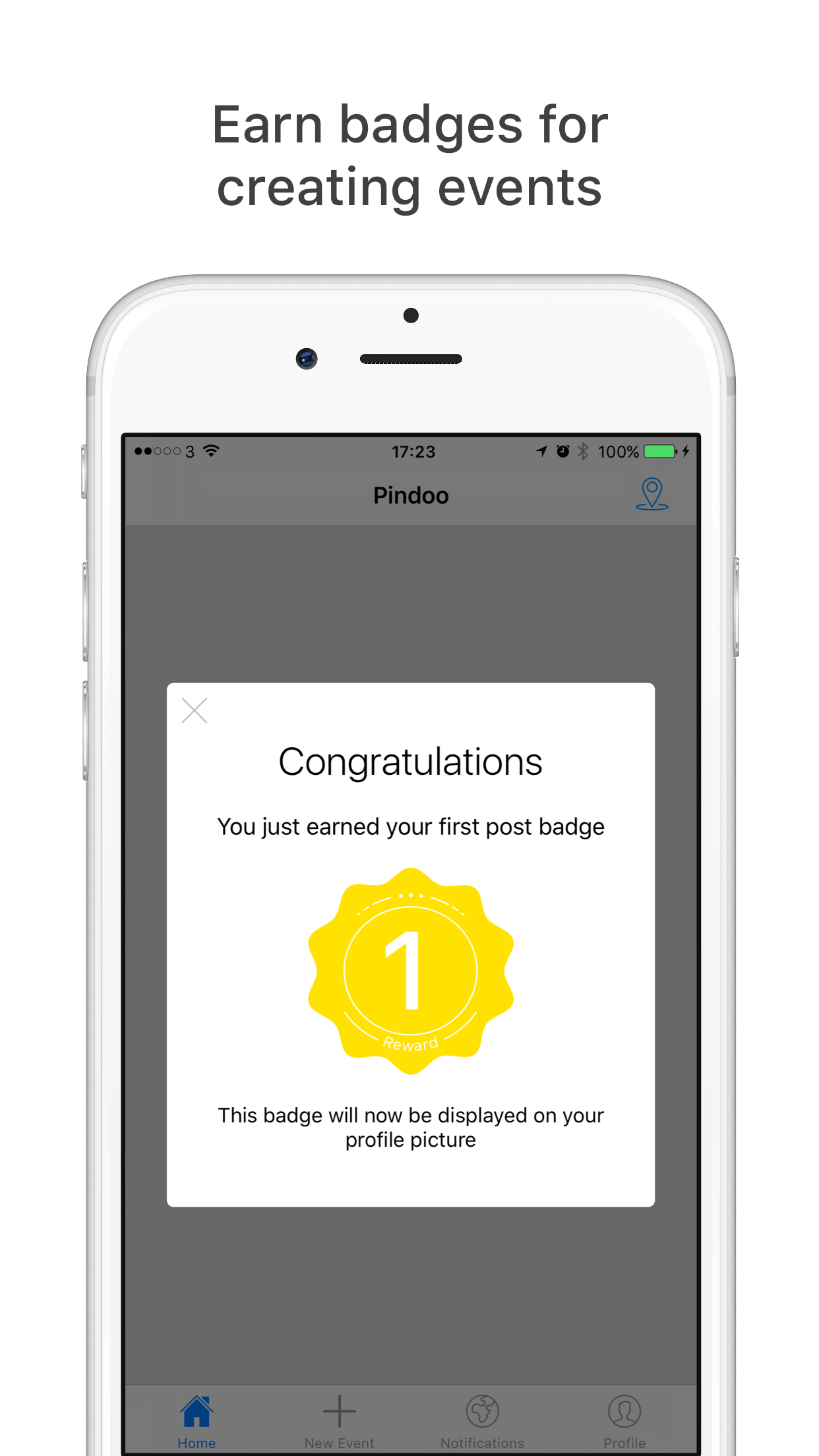 Pindoo gallery image