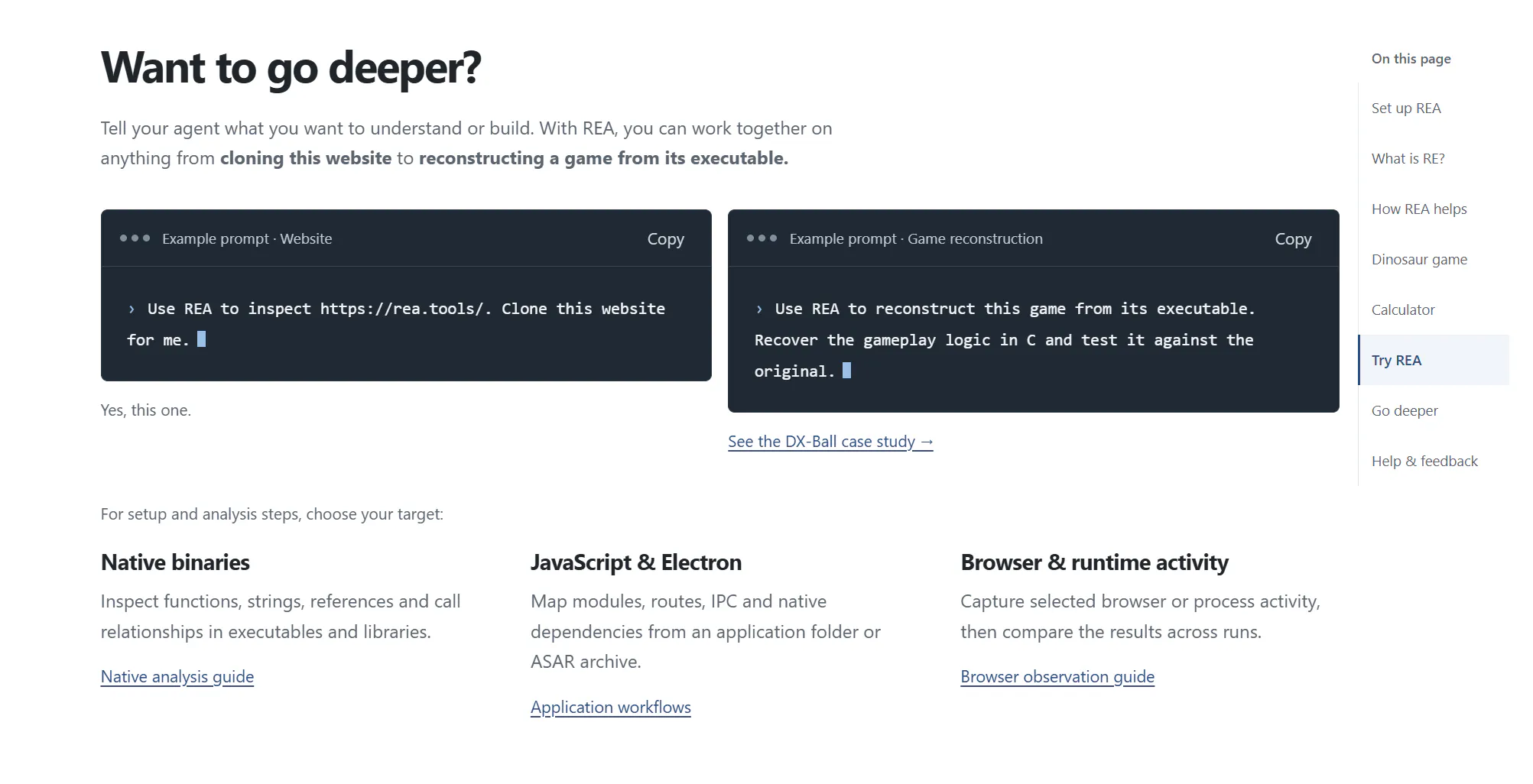 REA - Reverse Engineer Anything gallery image