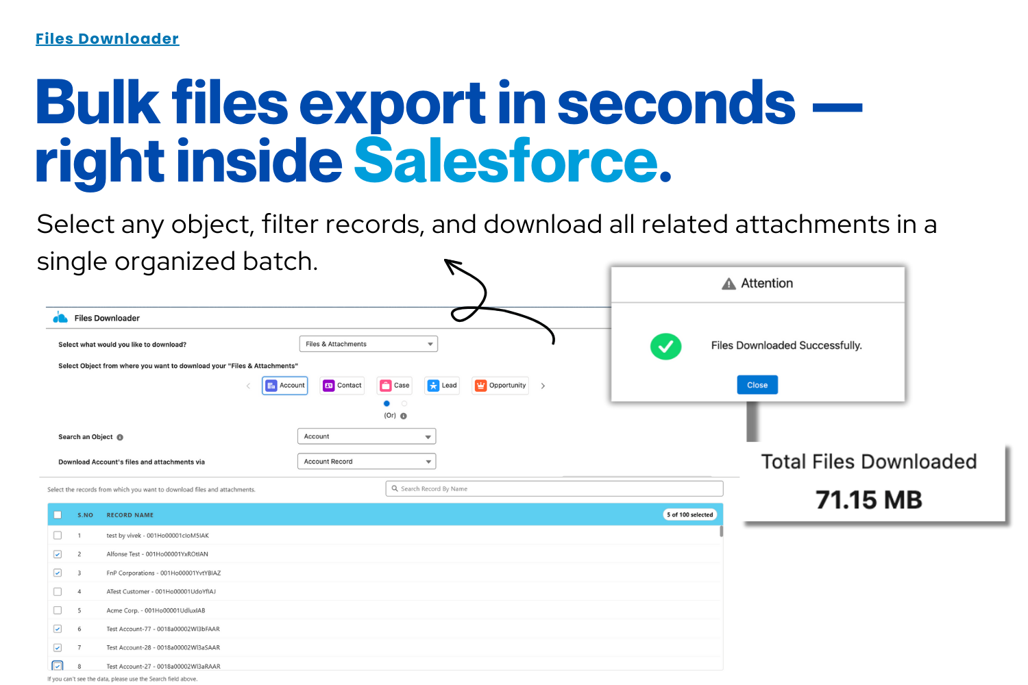 File Downloader - Screenshot 4 showing product features and functionality
