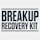 Breakup Recovery Kit