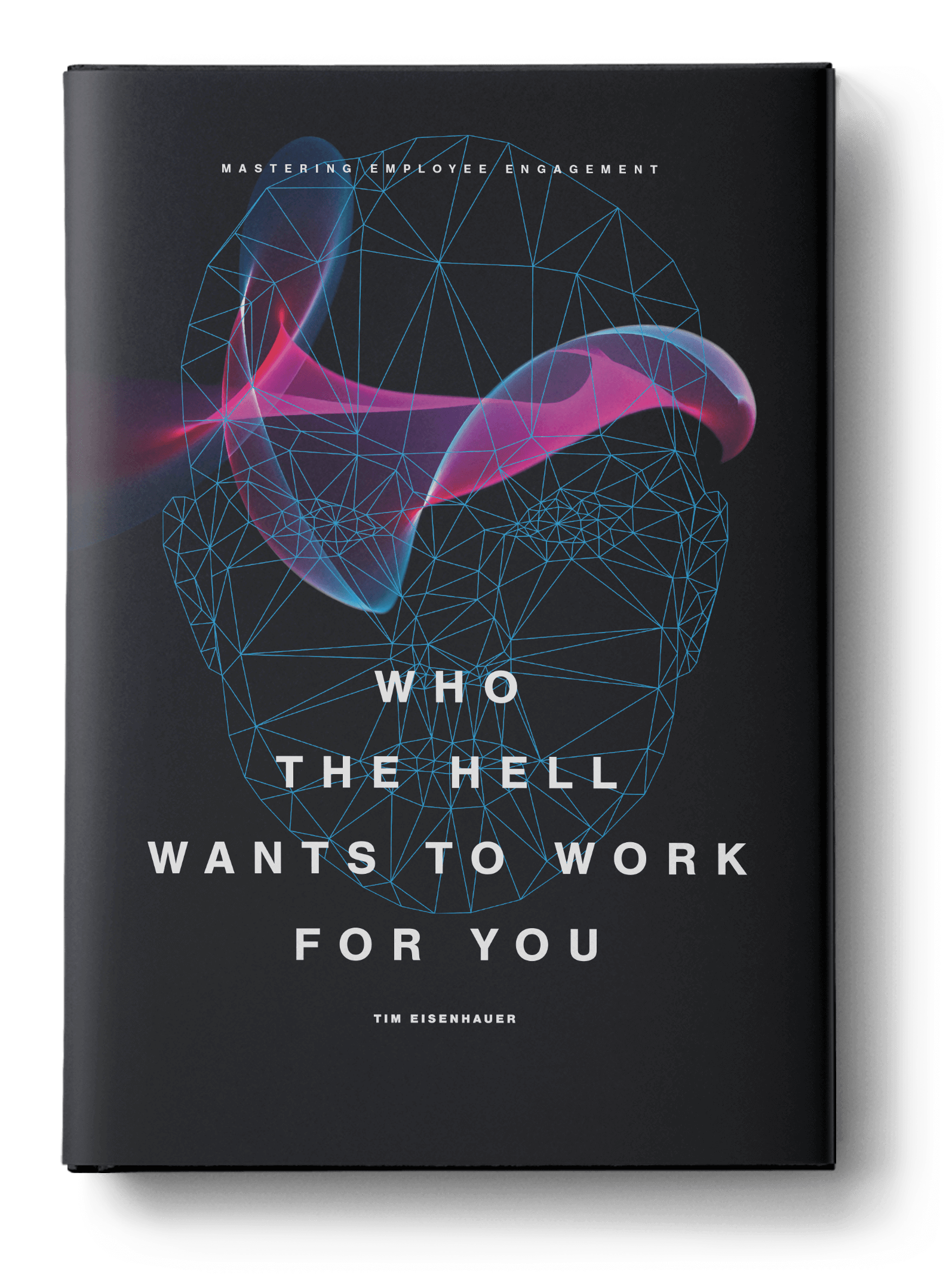 Who the Hell Wants to Work for You? gallery image