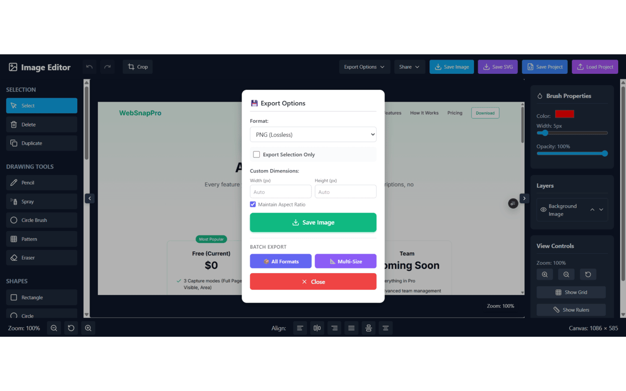 WebSnapPro gallery image