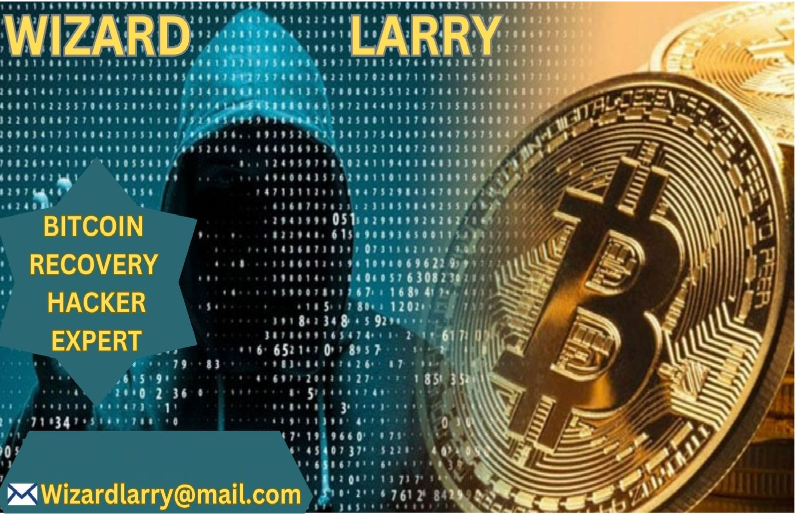 Wizard Larry Recovery Experts