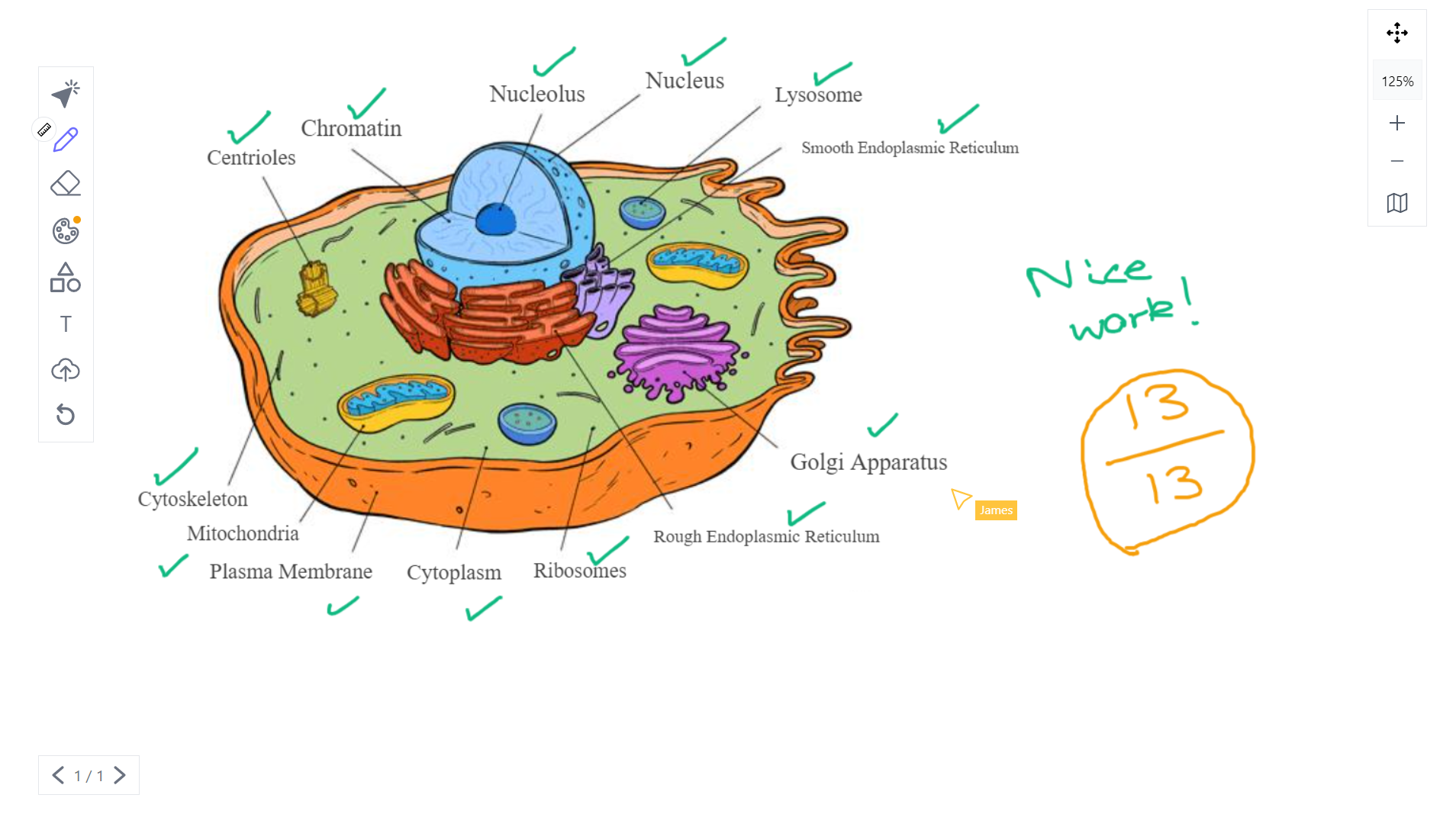 PixelPaper gallery image