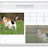 Responsive Image Breakpoints Generator